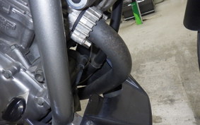 HONDA XELVIS 2025 MC25