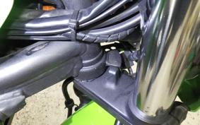 KAWASAKI ZRX1200 D 2017 ZRT20D
