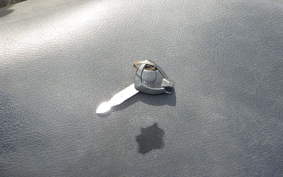 SUZUKI LET's 4 2013 CA45A