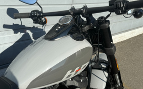 HARLEY FXFBS 2025 YLK