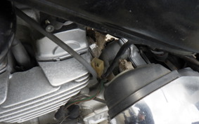 HONDA MAGNA 250 MC29