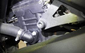 YAMAHA YZF-R25 2015 RG10J