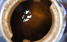 HONDA MONKEY 1999 Z50J