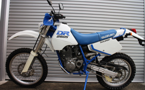 SUZUKI DR250 S SJ44A
