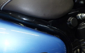 OTHER +ENFIELD ﾒﾃｵ350 2022