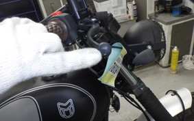 OTHER +UNREGISTERED MODEL by BDS250 2017