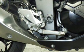 KAWASAKI Z250 A 2021 ER250C