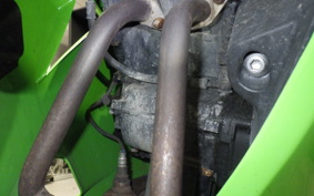 KAWASAKI NINJA 250R 2019 EX250K