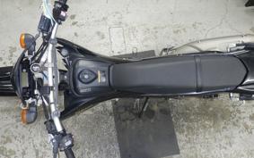 YAMAHA WR250X 2024 DG15J
