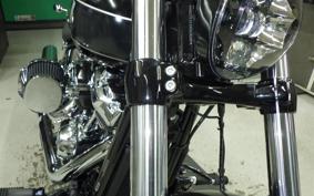 HARLEY FXBR1920 2025
