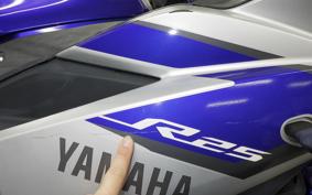 YAMAHA YZF-R25 2024 RG10J