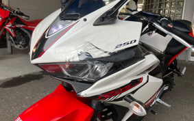 YAMAHA YZF-R25 RG10J