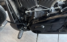 HARLEY FXDR114 2019 YVK
