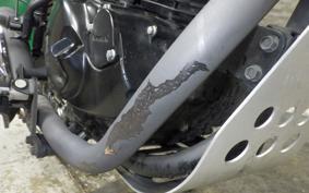 KAWASAKI W175 TR 2020