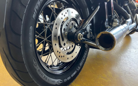 HARLEY FLS 2012 JR5