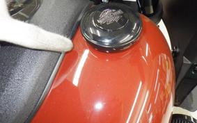 HARLEY FXLRST1920 2024