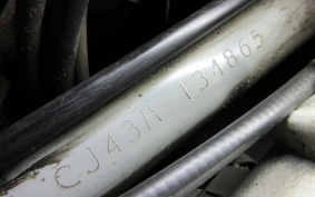 SUZUKI SKYWAVE 250S-1 CJ43A