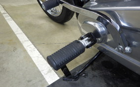 HARLEY FXST1750 2024