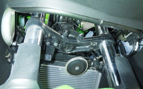 KAWASAKI NINJA 250 2015 EX250L