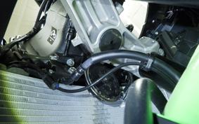 KAWASAKI NINJA ZX-6R A 2024 ZX636J