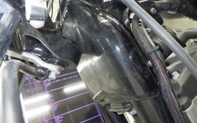 HARLEY XL883N 2015