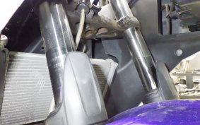 YAMAHA YZF-R25 2004 RG10J