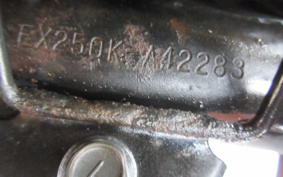 KAWASAKI NINJA 250R EX250K