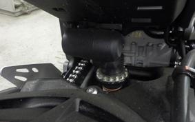 KAWASAKI NINJA ZX-6R A 2025 ZX636J