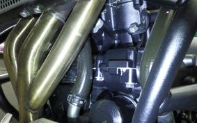 TRIUMPH TIGER 800 2019