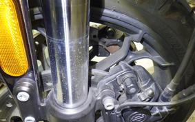 HARLEY XG750 STREET ROD 2019