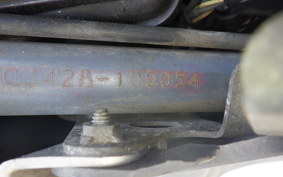 SUZUKI SKYWAVE 250 (Burgman 250) CJ42A