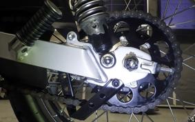 SUZUKI TS185 2024