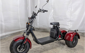 HONDA  BLAZE EV TRIKE  DMJC