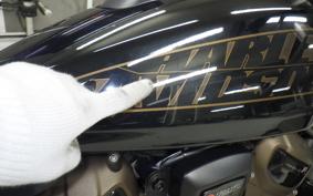 HARLEY RH1250S 2022