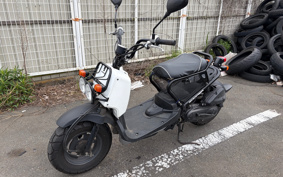 HONDA ZUMAR AF58