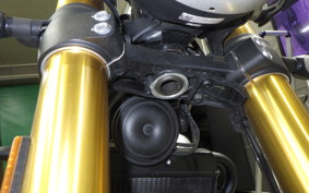 TRIUMPH SPEED400 2024