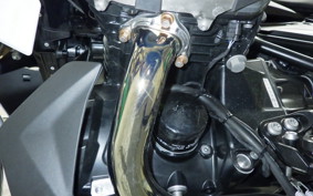 BMW R1250RS PREMIUM LINE 2024