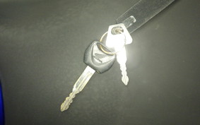 HONDA HORNET 250 2008 MC31