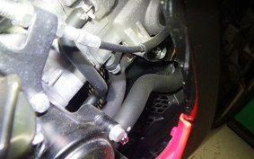 SUZUKI GSX-R125 2007 DL33B