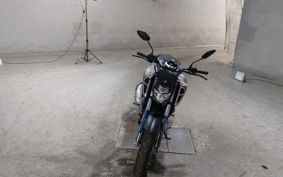YAMAHA FZ1-S RG44