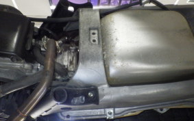 HONDA ZOOMER 2021 AF58