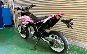 YAMAHA WR250X DG15J