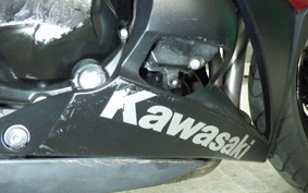 KAWASAKI NINJA 1000 2014