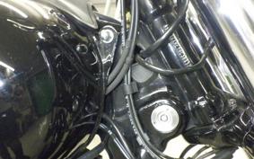 HARLEY FXDB1690 2017