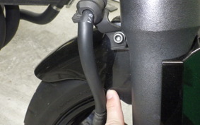 HONDA HORNET 250 2012 MC31