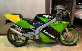 KAWASAKI KR-1R KR250C