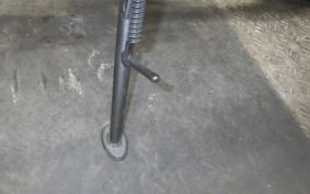 KAWASAKI Z900RS 2024 ZR900K