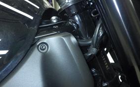 KAWASAKI Z900RS 2021 ZR900C