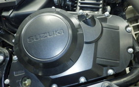 SUZUKI Vｽﾄﾛｰﾑ250A 2005