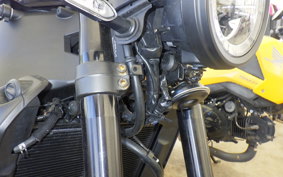YAMAHA XSR900 2023 RN80J